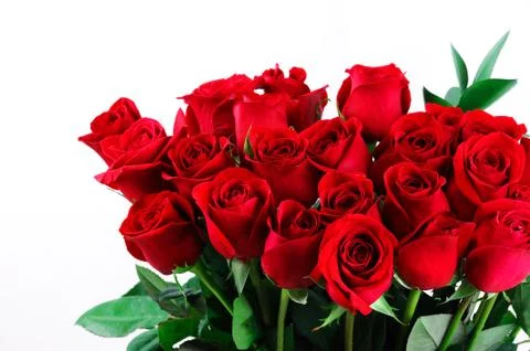 Bunch of red roses Stock Photos