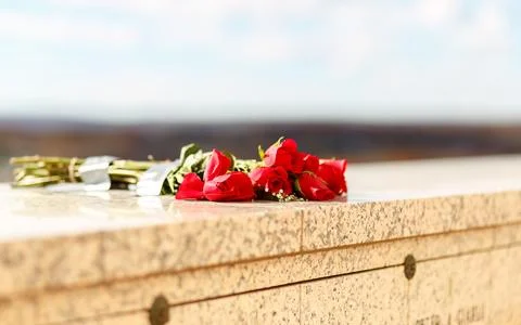 Bunch of red roses placed on marble stone wall at memorial tomb of mausoleum Stock Photos