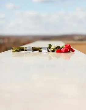 Bunch of red roses placed on marble stone wall at memorial tomb of mausoleum Stock Photos