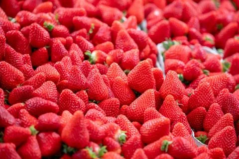 A bunch of red strawberries are piled on top of each other Stock Photos