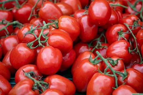 A bunch of red tomatoes are piled on top of each other Stock Photos