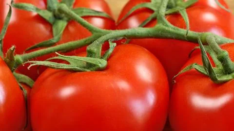Bunch of red tomatoes, close-up, on a cutting board Stock Photos
