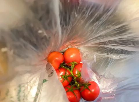 A bunch of red tomatoes packed in plastic. Stock Photos
