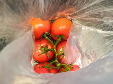 A bunch of red tomatoes packed in plastic. Stock Photos