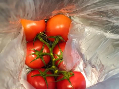 A bunch of red tomatoes packed in plastic. Stock Photos