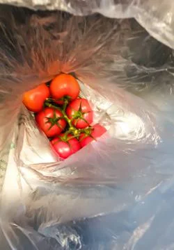 A bunch of red tomatoes packed in plastic. Stock Photos