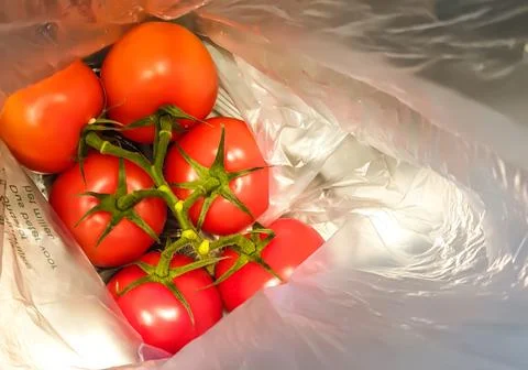 A bunch of red tomatoes packed in plastic. Stock Photos