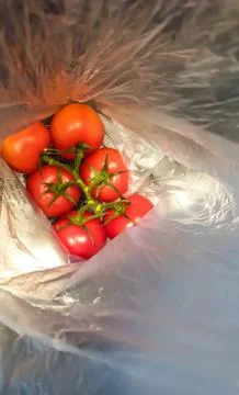 A bunch of red tomatoes packed in plastic. Stock Photos
