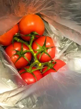 A bunch of red tomatoes packed in plastic. Stock Photos