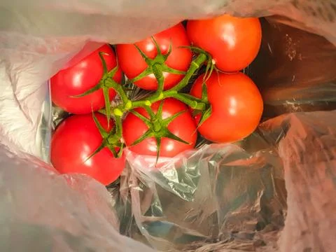 A bunch of red tomatoes packed in plastic. Stock Photos