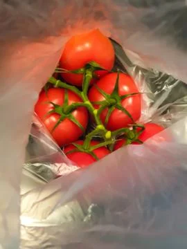 A bunch of red tomatoes packed in plastic. Stock Photos