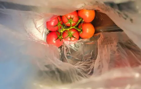 A bunch of red tomatoes packed in plastic. Stock Photos