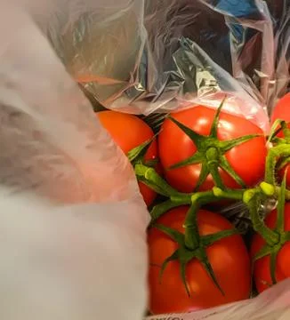 A bunch of red tomatoes packed in plastic. Stock Photos