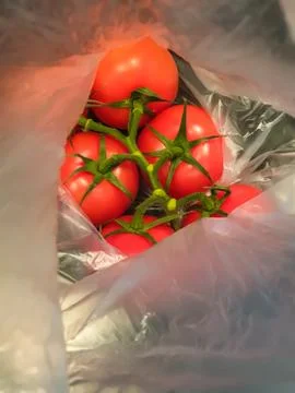 A bunch of red tomatoes packed in plastic. Stock Photos