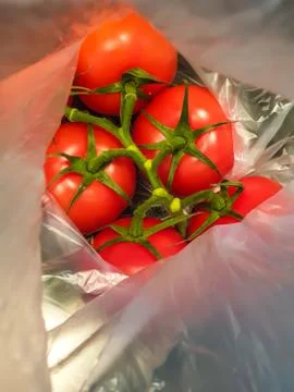 A bunch of red tomatoes packed in plastic. Stock Photos