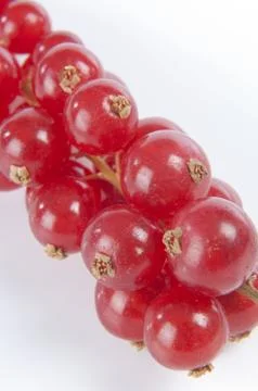 Bunch of Ribes on a white background Stock Photos