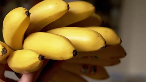 Bunch of Ripe Bananas, Close Up Stock Footage 293177250