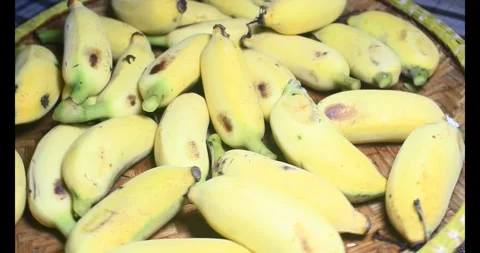 Bunch of ripe bananas Stock Footage 292585293