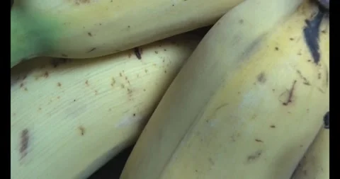 Bunch of ripe bananas Video stock 292586229
