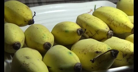 Bunch of ripe bananas Stock Footage 292586289