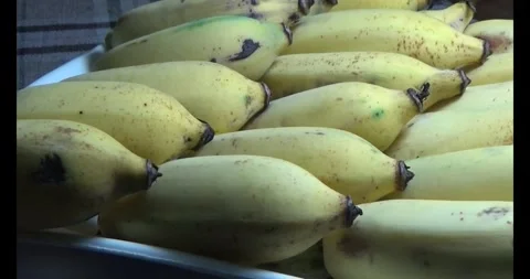 Bunch of ripe bananas Stock Footage 292586344