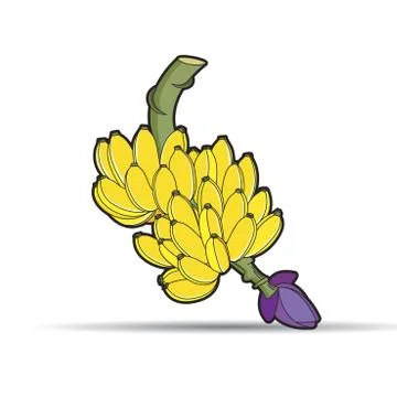 Bunch of ripe bananas Stock Illustration