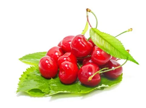 Bunch of ripe cherries on a green leaf isolated on white background Stock Photos