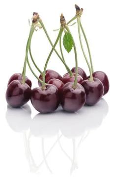 Bunch of ripe cherries Stock Photos