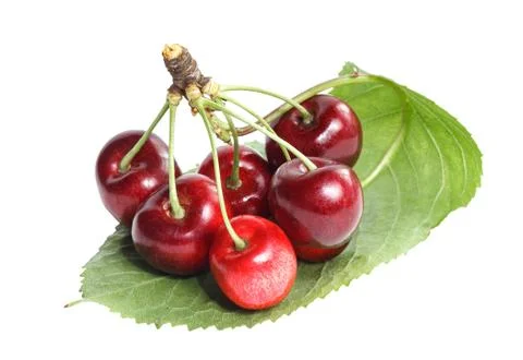 A bunch of ripe cherries Stock Photos