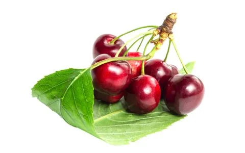 A bunch of ripe cherries Stock Photos