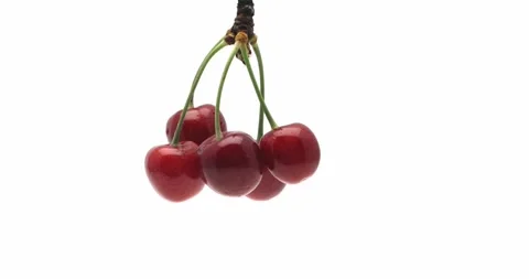 Bunch of ripe cherry berries rotating on white background Video stock 199947856