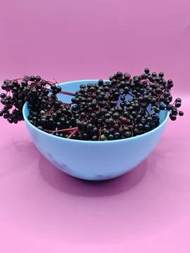 A bunch of ripe elderberries, side view Stock Photos