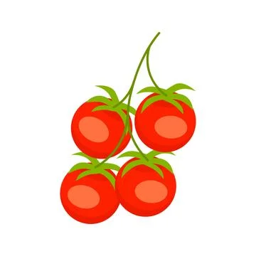 Bunch of ripe red cherry tomatoes hanging on the vine Illustrazione stock