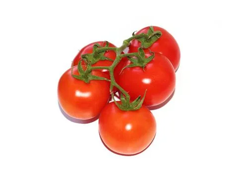 A bunch of ripe tomatoes Фото
