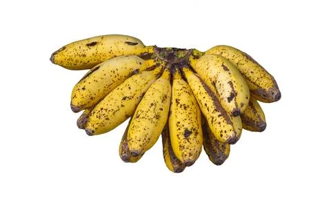 Bunch of Ripe Yellow Bananas with Brown Freckles Isolated on White Background Stock-Fotos
