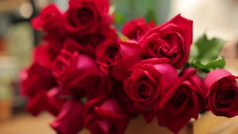 A bunch of rose. Stock Footage 147244415