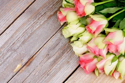 Bunch of roses Stock Photos