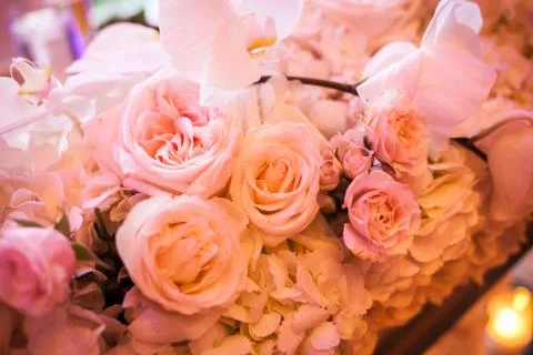 Bunch of roses Stock Photos