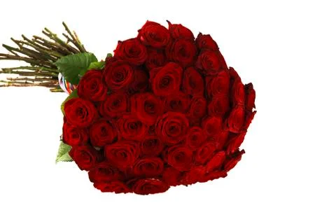 Bunch of roses Stock Photos