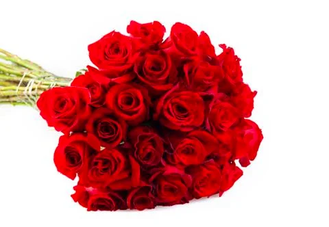 Bunch of roses 스톡 사진