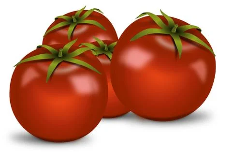 Bunch of shadowed tomatoes Stock-Illustration