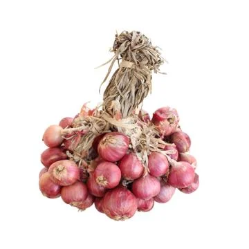 Bunch of shallots Stock Photos