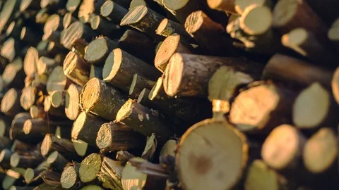 A bunch of shredded firewood is preparing for the winter Stockbeeldmateriaal 91547183