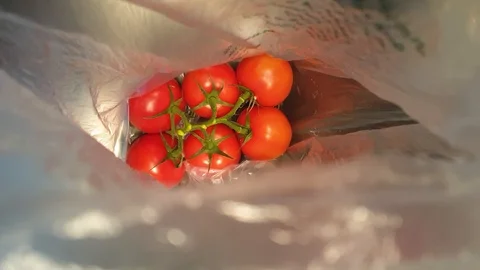 A bunch six red tomatoes packed in plastic bag. Reduce plastic waste and save Stock Footage 124438452