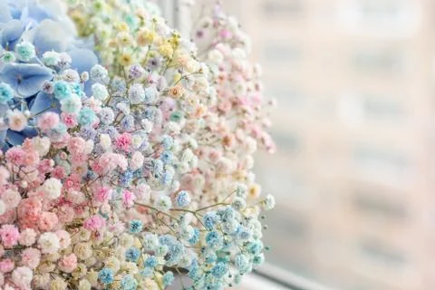 A bunch of small flowers Stock Photos