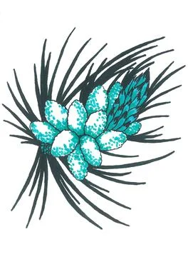 Bunch of small fresh emerald pine cones with long black needles Stock Photos