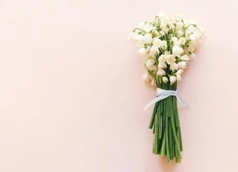 Bunch of snowdrops Stock Photos