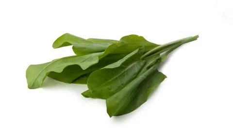 Bunch of sorrel Stock Photos