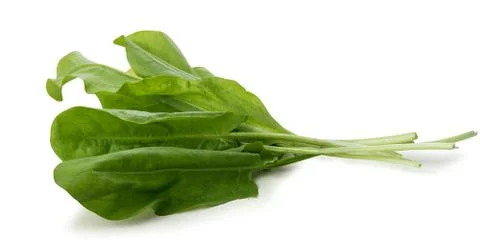 Bunch of sorrel Stock Photos