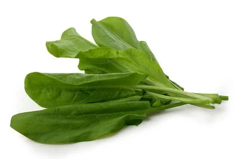 Bunch of sorrel Stock Photos
